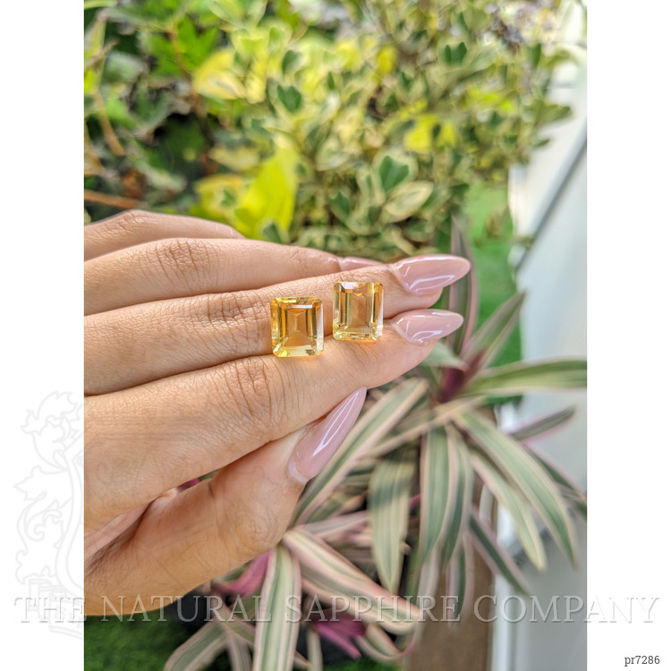 11.18 Ct.Tw. Citrine Pair from Brazil