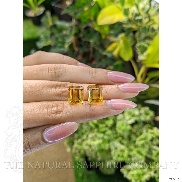 11.27 Ct.Tw. Citrine Pair from Brazil