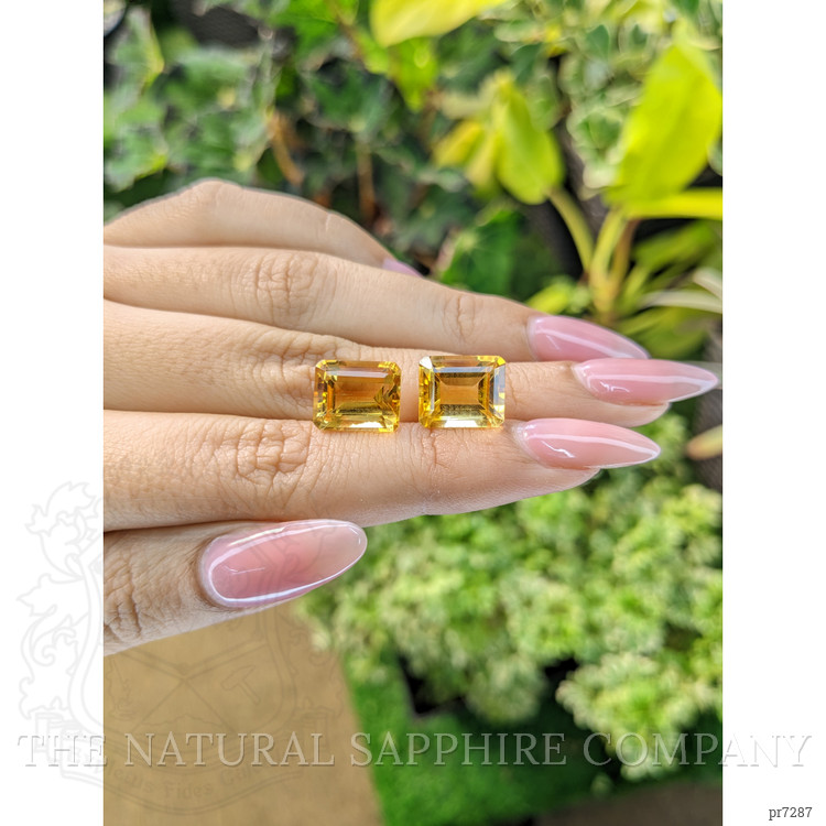 11.27 Ct.Tw. Citrine Pair from Brazil
