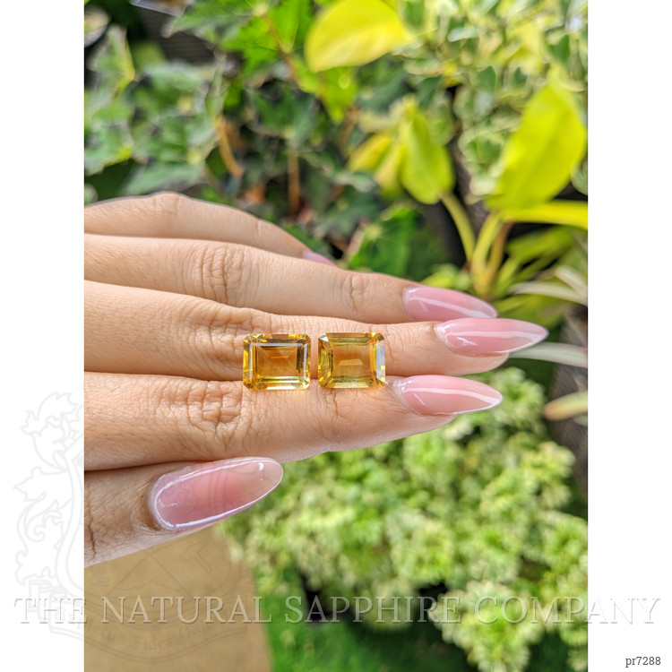 10.55 Ct.Tw. Citrine Pair from Brazil