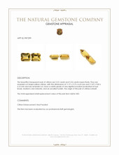 10.66 Ct.Tw.Total Carat Weight Citrine Pair from Brazil Appraisal