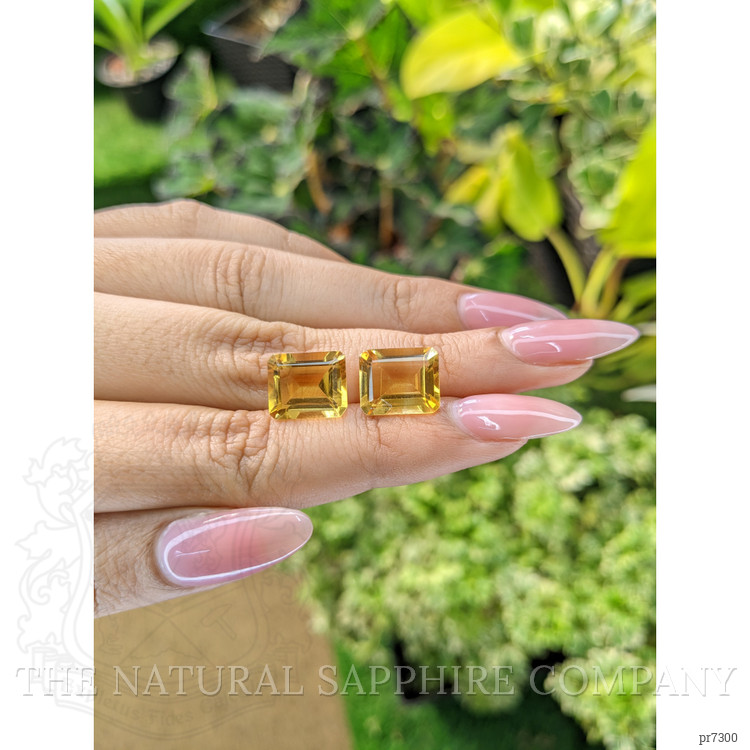 9.86 Ct.Tw. Citrine Pair from Brazil