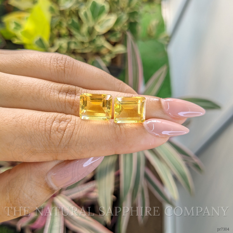 12.15 Ct.Tw. Citrine Pair from Brazil