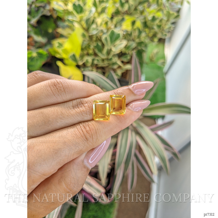 9.41 Ct.Tw. Citrine Pair from Brazil