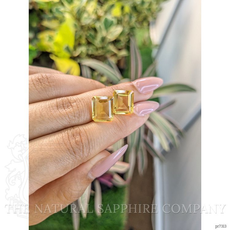 9.33 Ct.Tw. Citrine Pair from Brazil