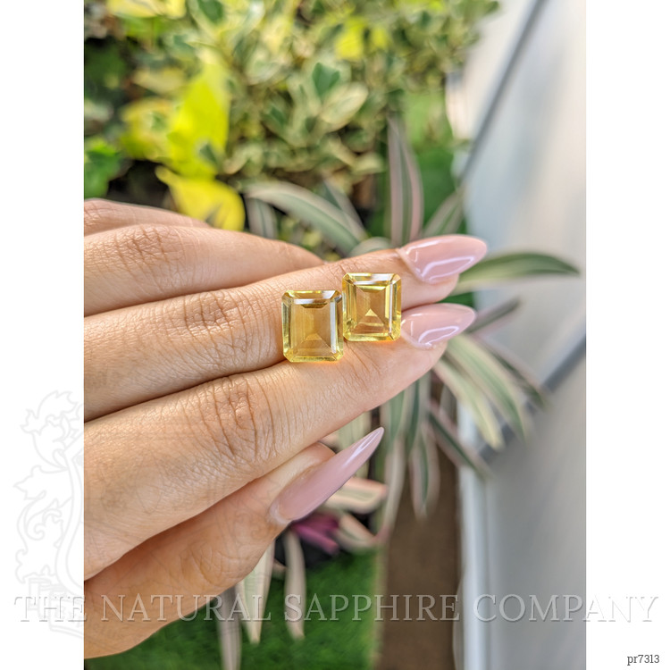 9.33 Ct.Tw. Citrine Pair from Brazil