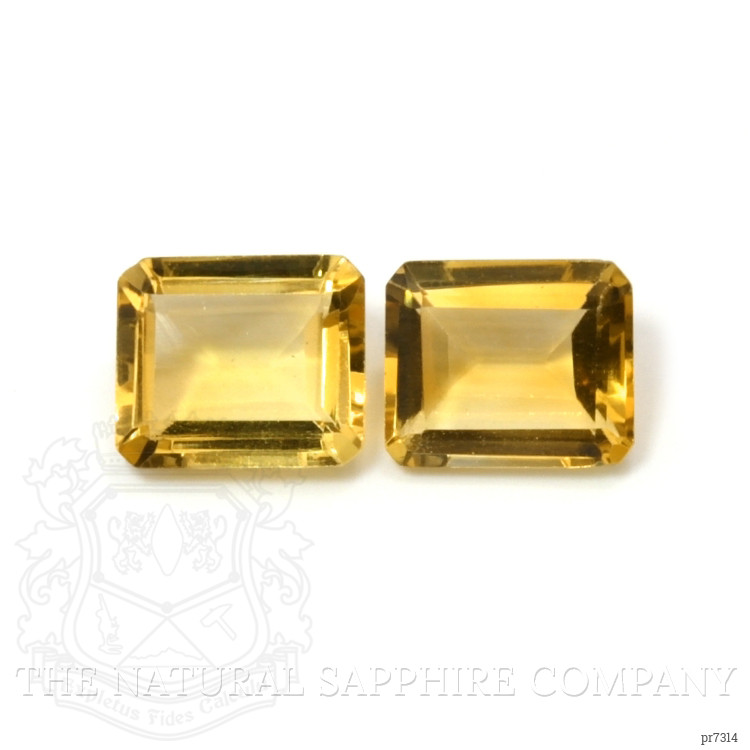 9.64 Ct.Tw. Citrine Pair from Brazil