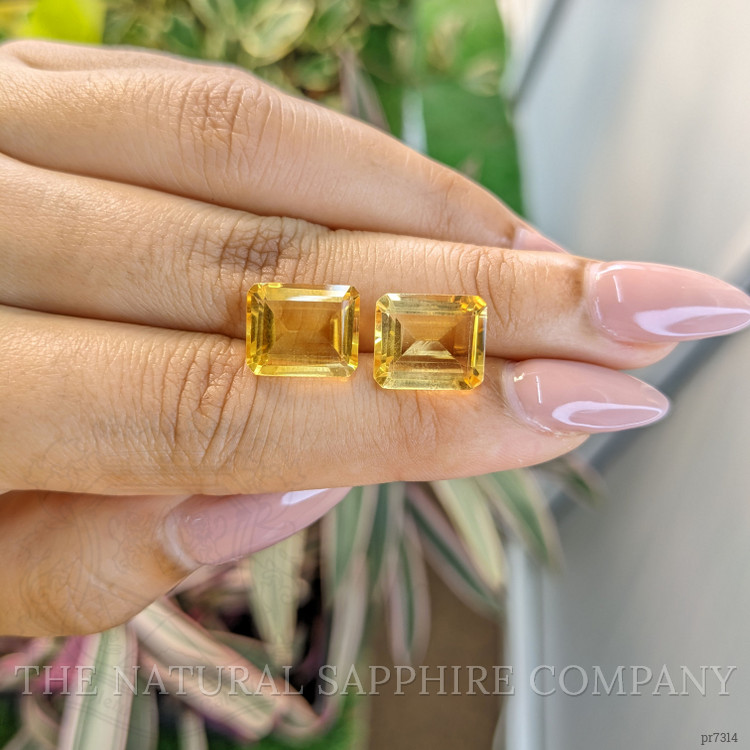 9.64 Ct.Tw. Citrine Pair from Brazil