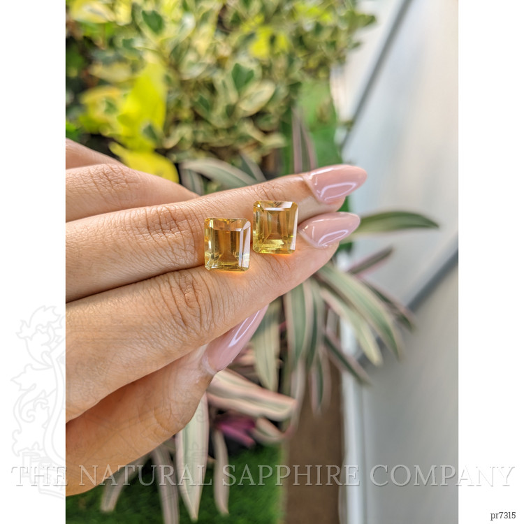 11.80 Ct.Tw. Citrine Pair from Brazil