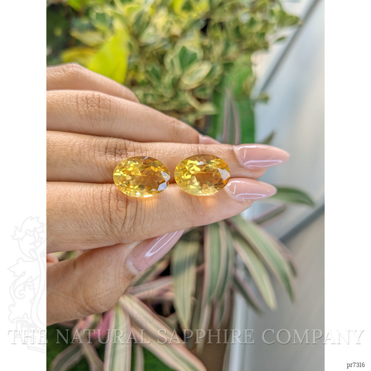 16.44 Ct.Tw. Citrine Pair from Brazil