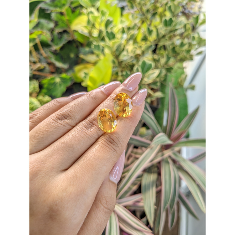 16.44 Ct.Tw. Citrine Pair from Brazil