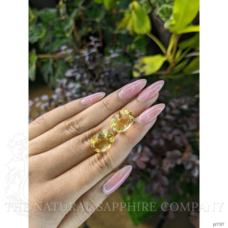 16.75 Ct.Tw. Citrine Pair from Brazil