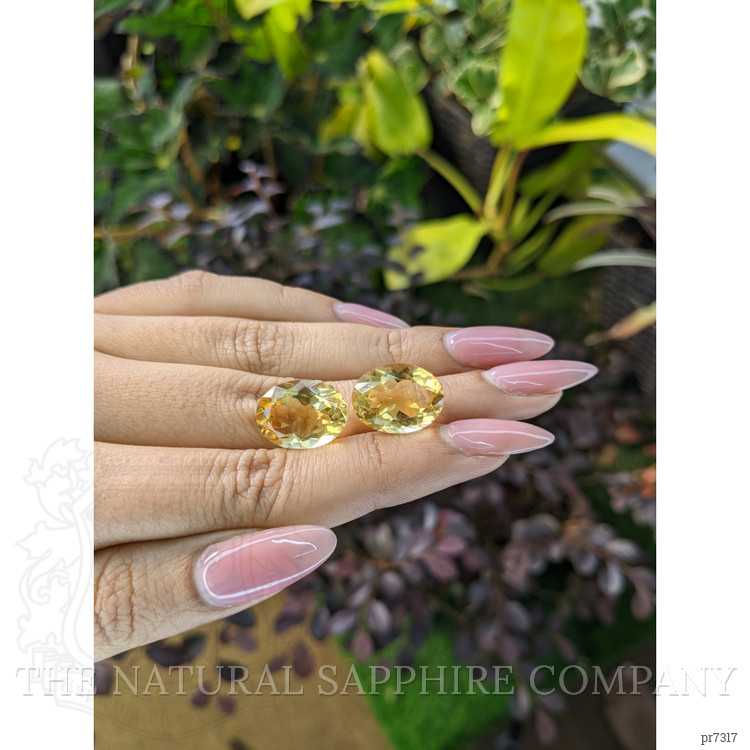 16.75 Ct.Tw. Citrine Pair from Brazil