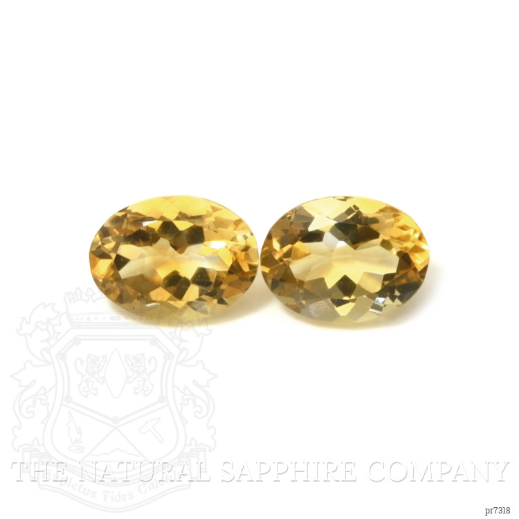 17.21 Ct.Tw. Citrine Pair from Brazil
