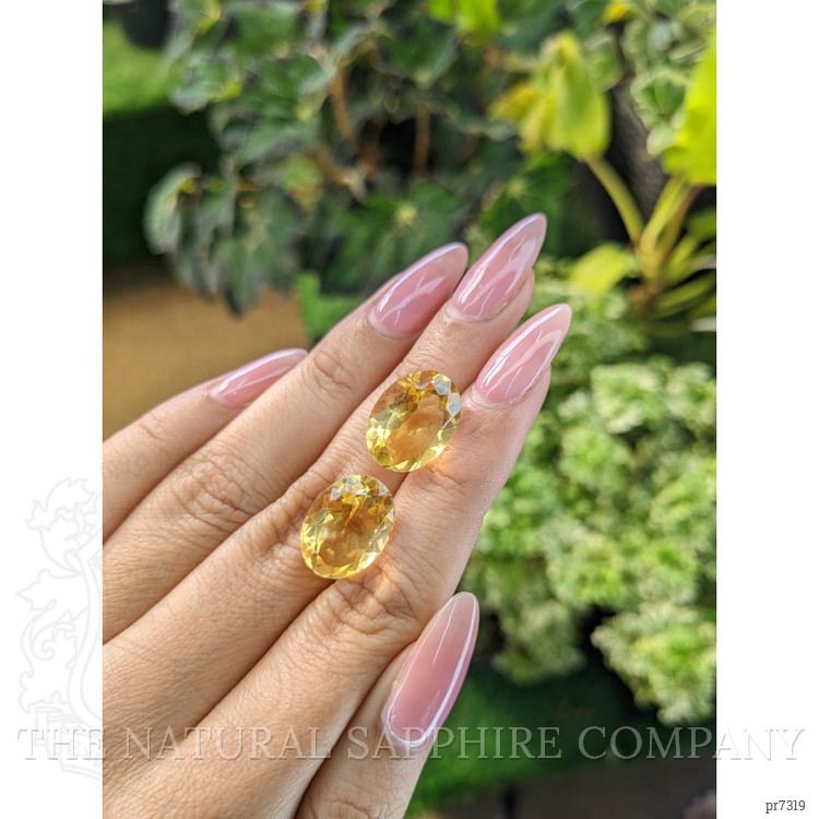 15.51 Ct.Tw. Citrine Pair from Brazil