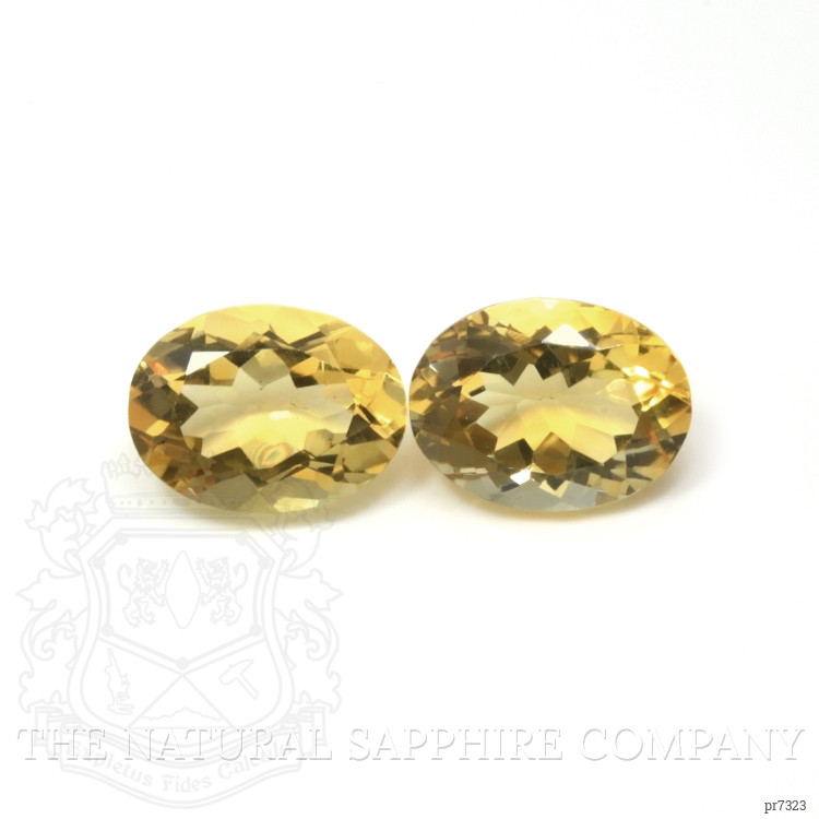 16.87 Ct.Tw. Citrine Pair from Brazil