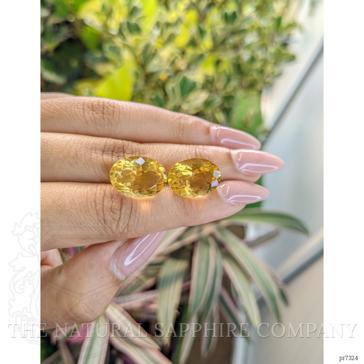 16.05 Ct.Tw. Citrine Pair from Brazil