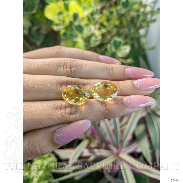 15.28 Ct.Tw. Citrine Pair from Brazil