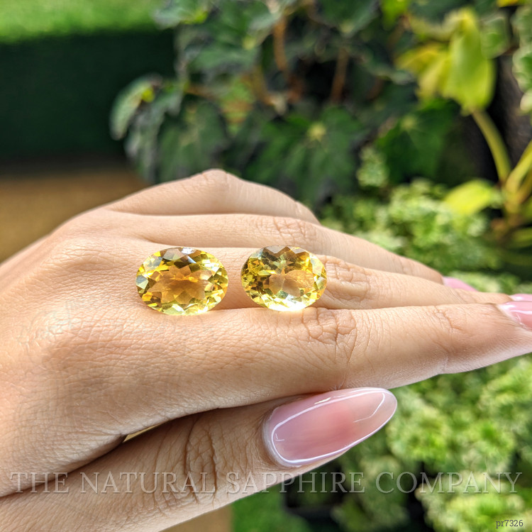 16.69 Ct.Tw. Citrine Pair from Brazil