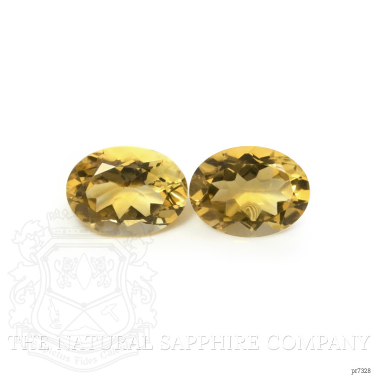 16.37 Ct.Tw. Citrine Pair from Brazil