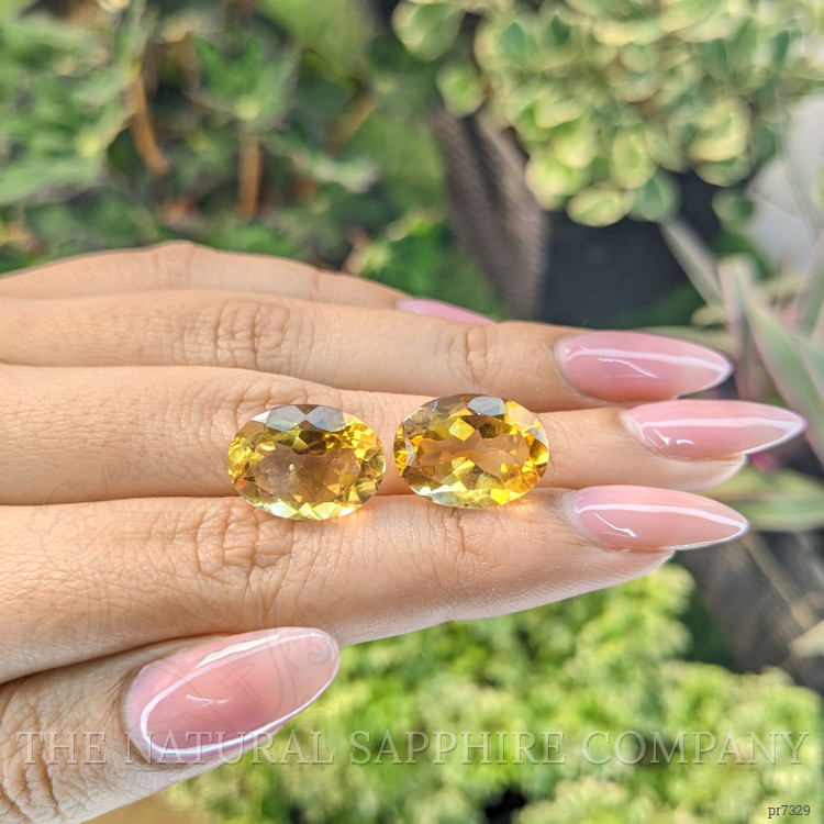 16.62 Ct.Tw. Citrine Pair from Brazil