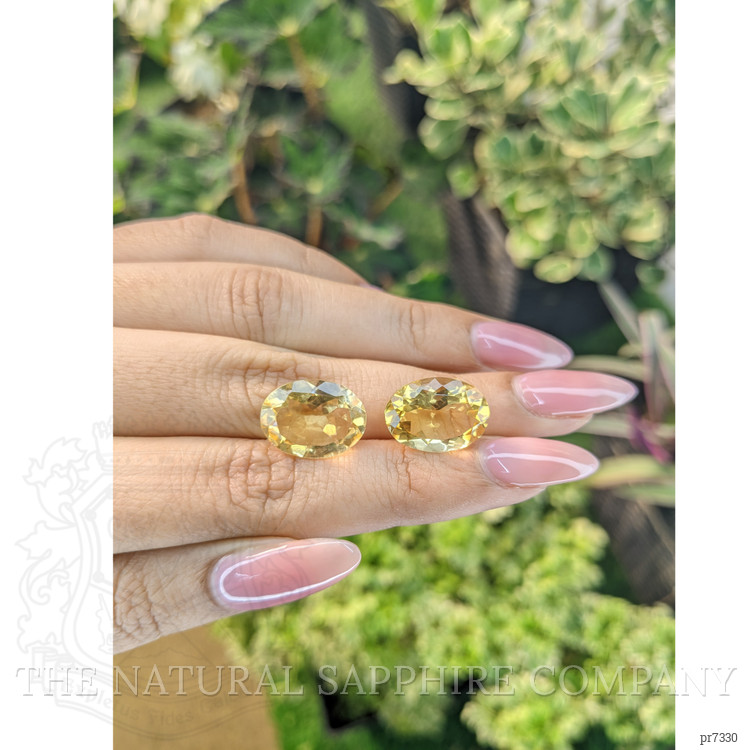 13.99 Ct.Tw. Citrine Pair from Brazil