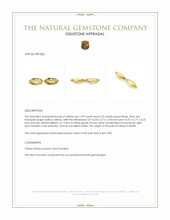4.22 Ct.Tw.Total Carat Weight Yellow Citrine Pair from Brazil Appraisal