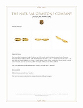 4.67 Ct.Tw.Total Carat Weight Yellow Citrine Pair from Brazil Appraisal