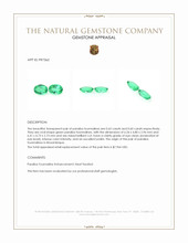 1.23 Ct.Tw.Total Carat Weight Green Paraiba Tourmaline Pair from Mozambique Appraisal