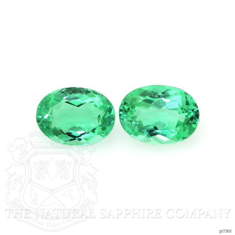 1.23 Ct.Tw. Paraiba Tourmaline Pair from Mozambique
