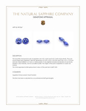 0.78 Ct.Tw.Total Carat Weight Blue Sapphire Pair from Ceylon (Sri Lanka) Appraisal