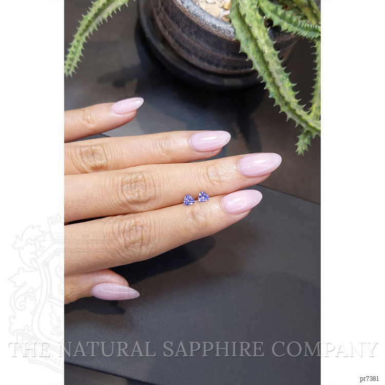 0.53 Ct.Tw. Tanzanite Pair from Tanzania