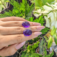 31.58 Ct.Tw.Total Carat Weight Cabochon Amethyst Pair from Brazil Life Style