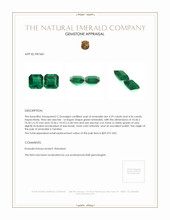 8.85 Ct.Tw.Total Carat Weight Emerald Pair from Zambia Appraisal
