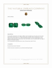 8.85 Ct.Tw.Total Carat Weight Emerald Pair from Zambia Appraisal