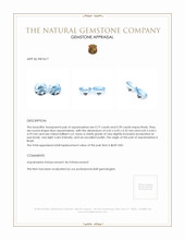 1.55 Ct.Tw.Total Carat Weight Aquamarine Pair from Brazil Appraisal