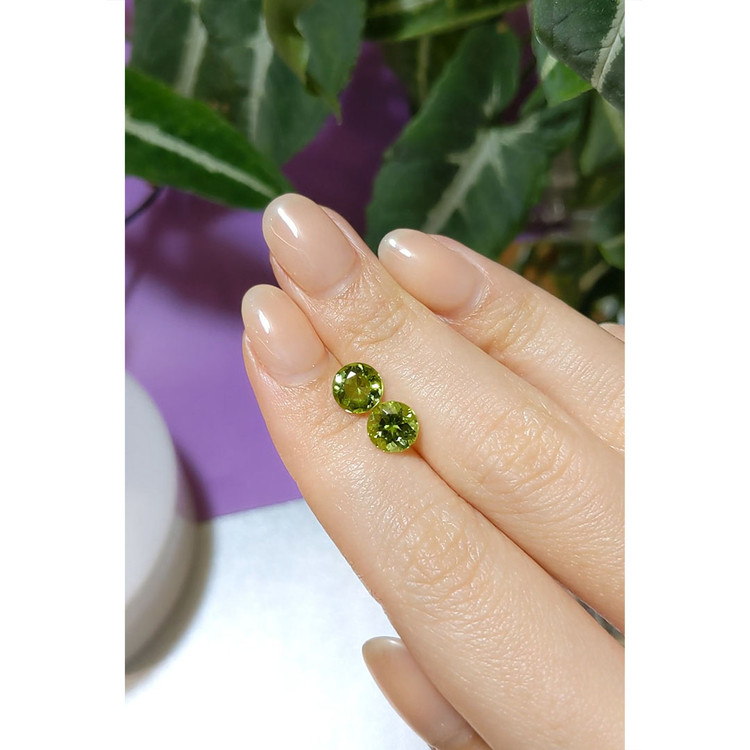 2.93 Ct.Tw. Tourmaline Pair from Brazil