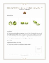 3.89 Ct.Tw.Total Carat Weight Tourmaline Pair from Brazil Appraisal