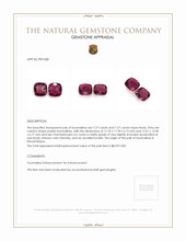 14.54 Ct.Tw.Total Carat Weight Brownish Pink Tourmaline Pair from Mozambique Appraisal