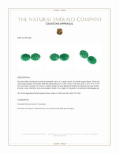 9.12 Ct.Tw.Total Carat Weight Emerald Pair from Madagascar Appraisal