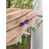 4.66 Ct.Tw.Total Carat Weight Amethyst Pair from Brazil Life Style