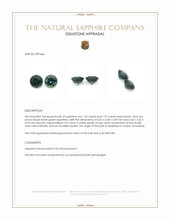 3.09 Ct.Tw.Total Carat Weight Bluish Green Sapphire Pair from Ceylon (Sri Lanka) Appraisal