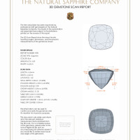 Jewelry 3 D Scan Report