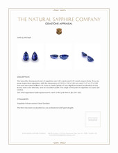6.44 Ct.Tw.Total Carat Weight Blue Sapphire Pair from Ceylon (Sri Lanka) Appraisal