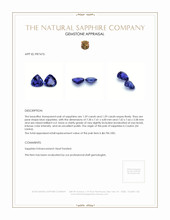 3.18 Ct.Tw.Total Carat Weight Blue Sapphire Pair from Ceylon (Sri Lanka) Appraisal