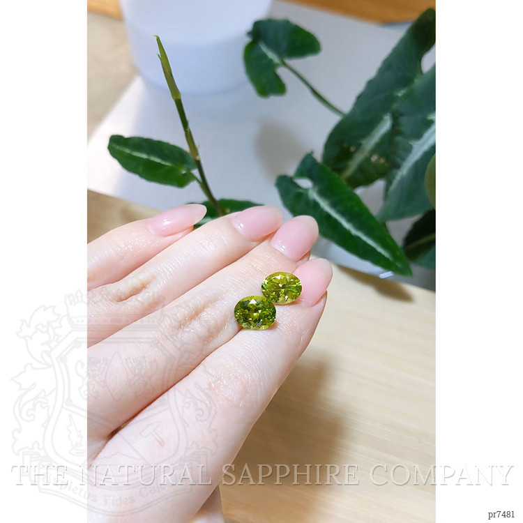 6.29 Ct.Tw. Peridot Pair from Madagascar