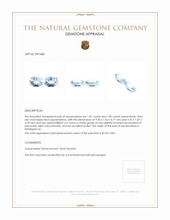 3.63 Ct.Tw.Total Carat Weight Aquamarine Pair from Madagascar Appraisal