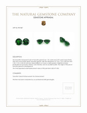 4.05 Ct.Tw.Total Carat Weight Tsavorite Garnet Pair from Madagascar Appraisal