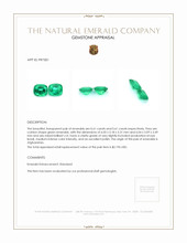1.22 Ct.Tw.Total Carat Weight Emerald Pair from Afghanistan Appraisal