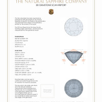 3.29 Ct.Tw.Total Carat Weight Blue Sapphire Pair from Ceylon (Sri Lanka) 3 D Scan Report